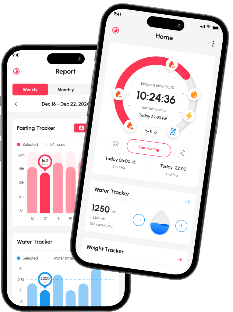 Application screenshot