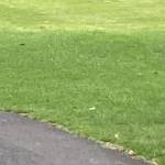 Ed Stewart Profile Picture